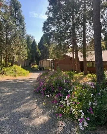Ponderosa Creekside Retreat Villa Mariposa Exterior photo