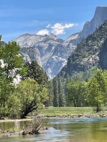 Ponderosa Creekside Retreat Casa vacanze *